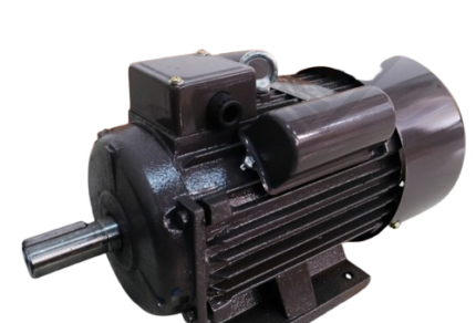 ELECTROMOTOR MAESTRO